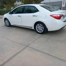 Toyota Corolla 2014