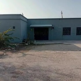 satlyk yer hemiŝelik