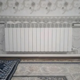 ATAPLENYA CEKMEK HYZMATY