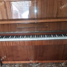 pianino