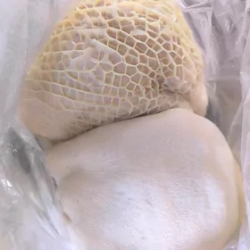 okuziň ayagy garny garn gowrdk