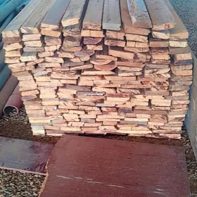 polluk agaçlar 2,5lik