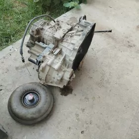 Siýena 98 ýyl 3 lik karobkasy