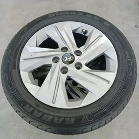 Hundaý disge pakryşga 16