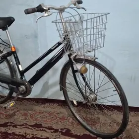 tigir 27 ÿaposga welo