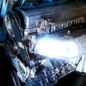 karona mator karopka 2lik