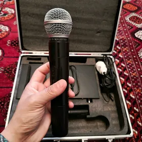 Mikrafon distasiyonny