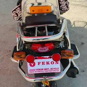 Fekon FK200-14G 2014