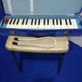 Акордион Akkardion