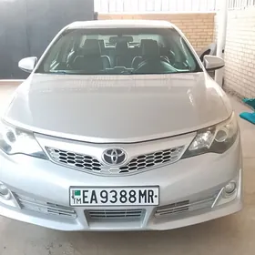 Toyota Camry 2013