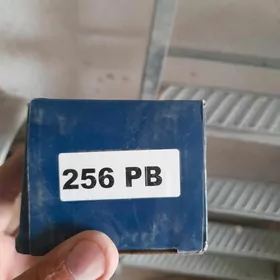 Demir gapy icinden guluplanyan