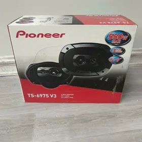 pioneer kalonka