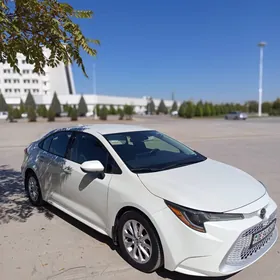 Toyota Corolla 2021