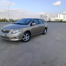 Toyota Corolla 2010