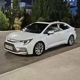 Toyota Corolla 2020