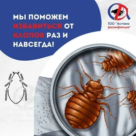 TAGTA BITE garsy DERMAN