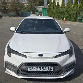 Toyota Corolla 2019