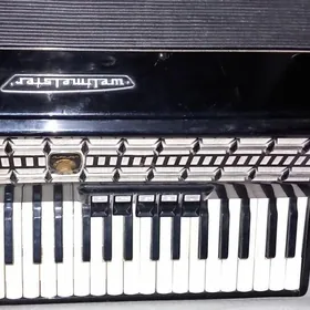 akardion weltmeister