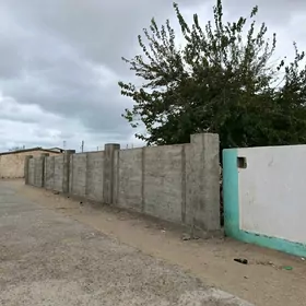 Guwlymayak satlyk jay