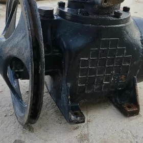 Kampiresir Yel beryan