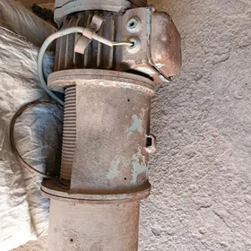 электро тал