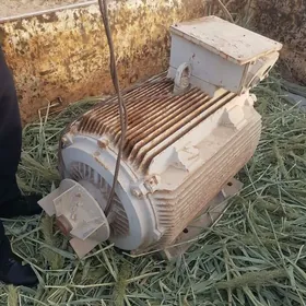 Elektra Dwigitel 110 kw