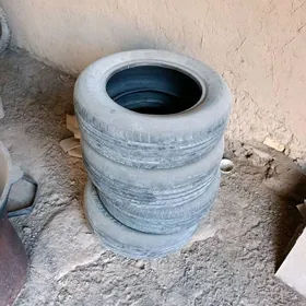 karopga, teker 15 lik