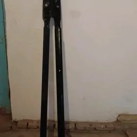 Сенна Лижа 2010 1015.