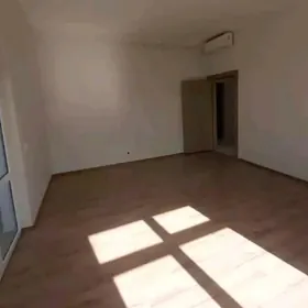 satlyk poluelitka 1kom советск