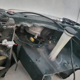 baboçka kelte morda