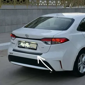 Karolla yzky plasmasy 19.2025.