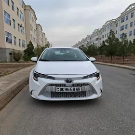 Toyota Corolla 2021