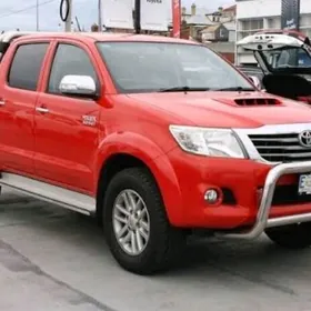 HiLux Brazgawik 10 15