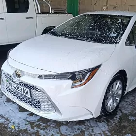 Toyota Corolla 2022