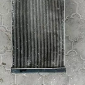 Radyator Duty Sienna