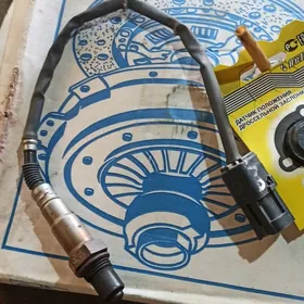 katalizator balyk gulok lada