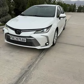 Toyota Corolla 2020