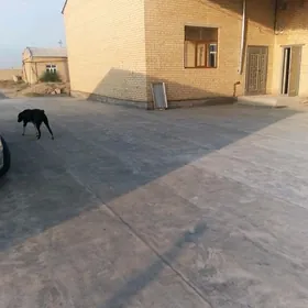 меллек  жай