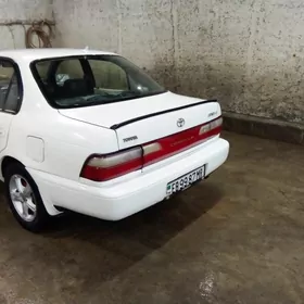 Toyota Corolla 1996