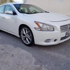 Nissan Maxima 2010