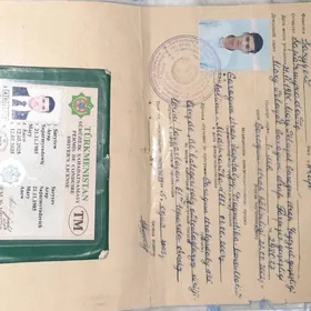 Пасспорт права йитен