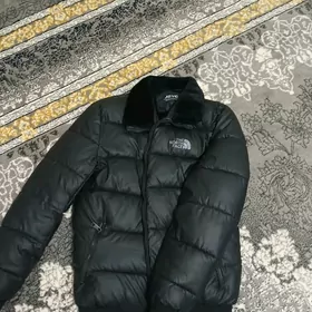 orta ýaşly çaga bolyan kurt