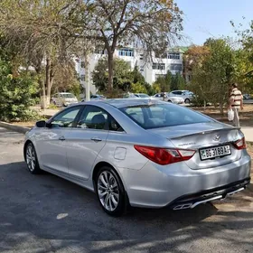 waditel taxi водитель