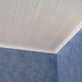 Podwesnoy подвесной потолок po