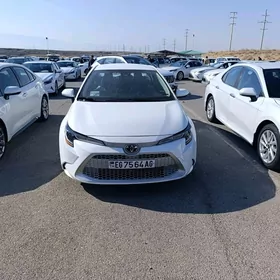 Toyota Corolla 2020