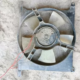 ЛопусЛопус