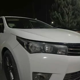 CAROLLA HALIJI FARA 14