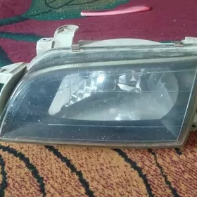 Carina E Permera cep taraby