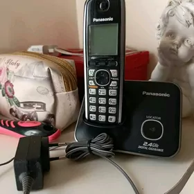 Panasonic domashniy telefon
