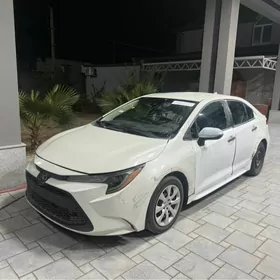 Toyota Corolla 2020